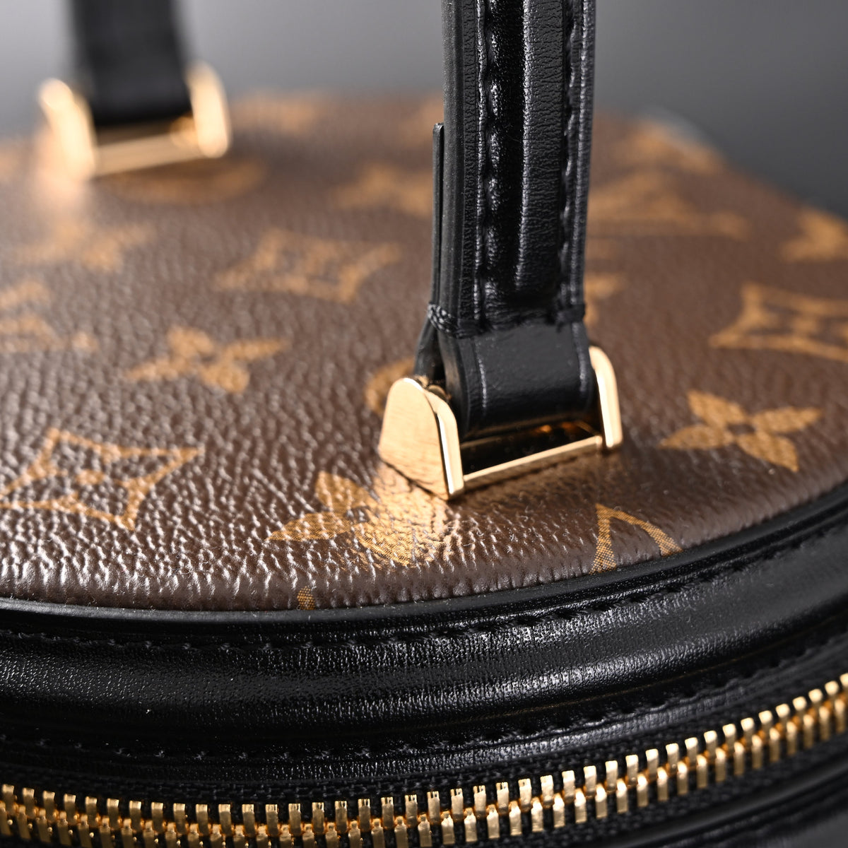 Louis Vuitton Cannes Bag ¨C Monogram Canvas Vanity Case with Top Handle (Small)