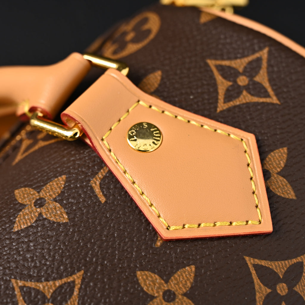 Louis Vuitton Speedy Bandouli¨¨re 25 Monogram Canvas