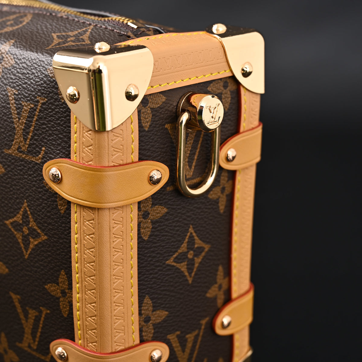 Louis Vuitton Cannes Trunk Bag ¨C Monogram Canvas with Gold-Tone Hardware