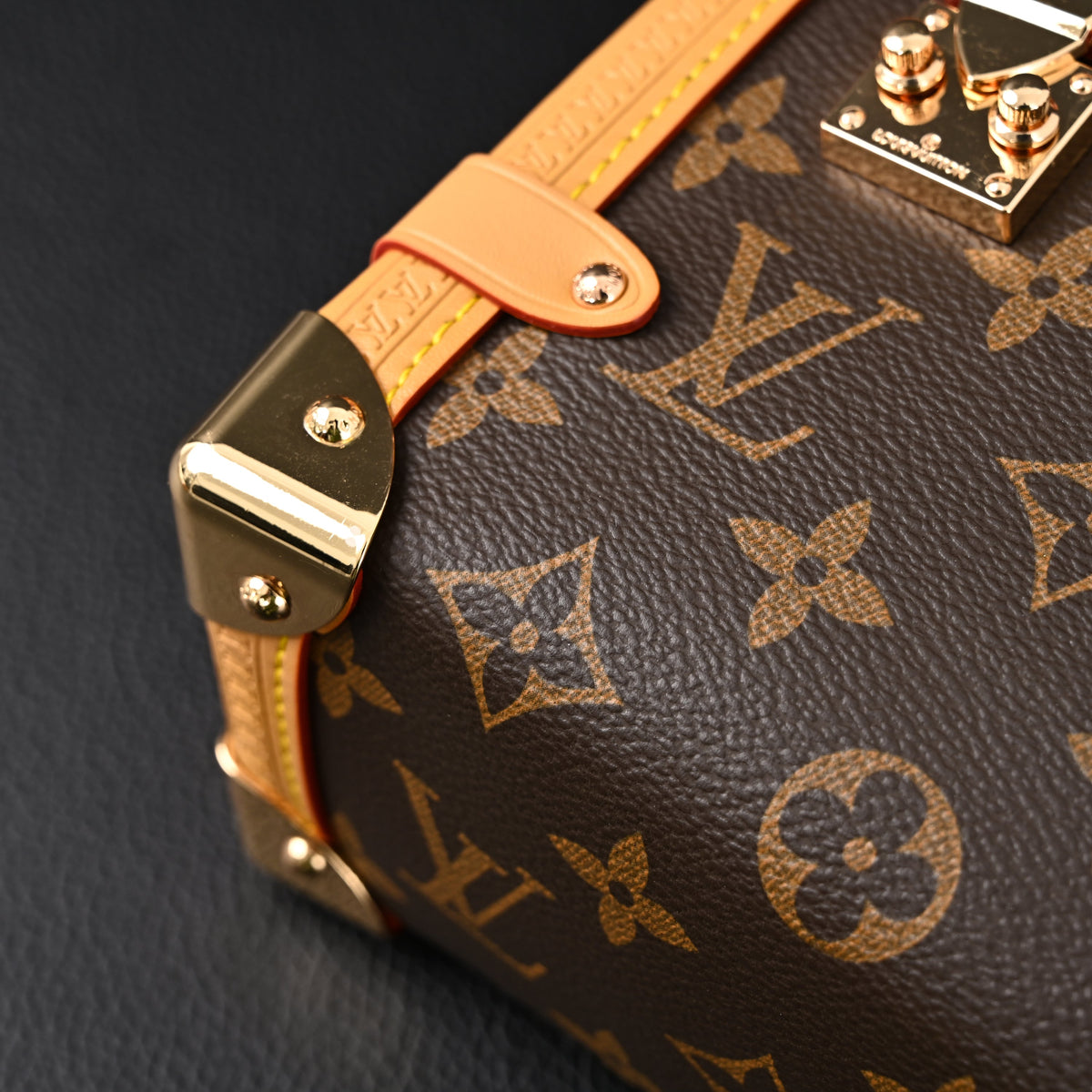 Louis Vuitton Cannes Trunk Bag ¨C Monogram Canvas with Gold-Tone Hardware