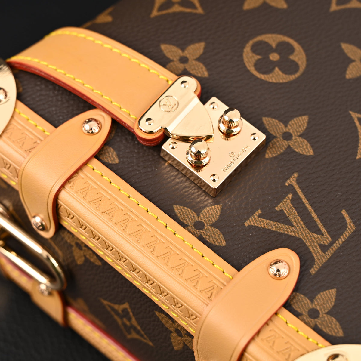 Louis Vuitton Cannes Trunk Bag ¨C Monogram Canvas with Gold-Tone Hardware