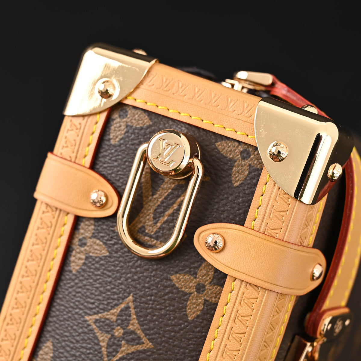 Louis Vuitton Cannes Trunk Bag ¨C Monogram Canvas with Gold-Tone Hardware