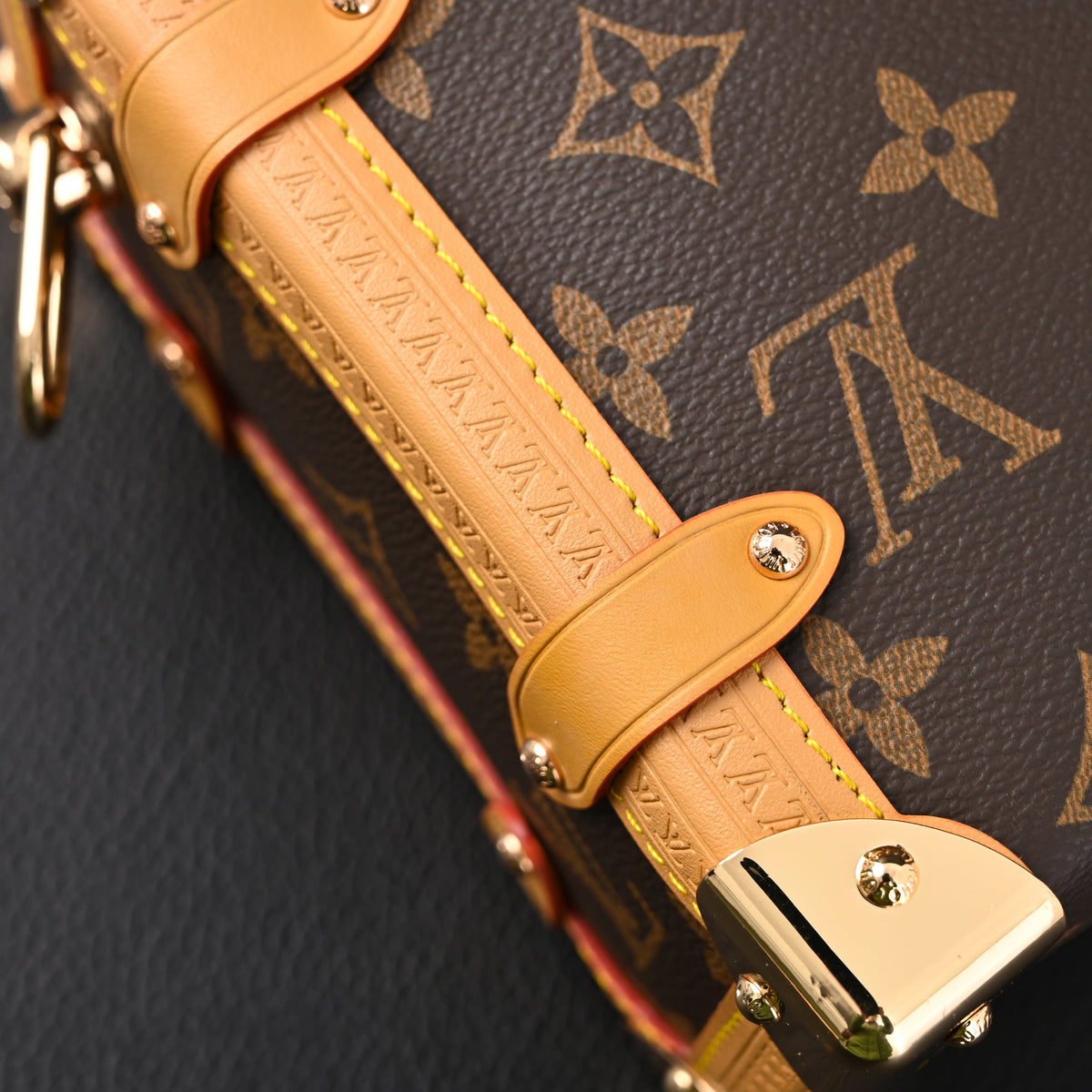 Louis Vuitton Cannes Trunk Bag ¨C Monogram Canvas with Gold-Tone Hardware