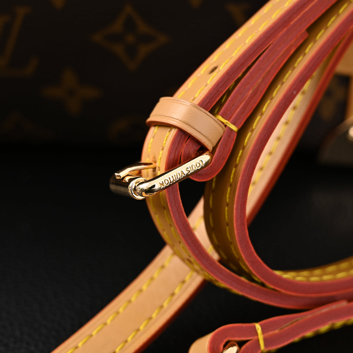 Louis Vuitton Cannes Trunk Bag ¨C Monogram Canvas with Gold-Tone Hardware