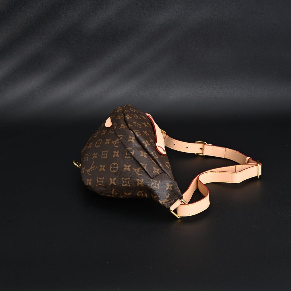 Louis Vuitton Bumbag ¨C Monogram Canvas Waist & Crossbody Bag