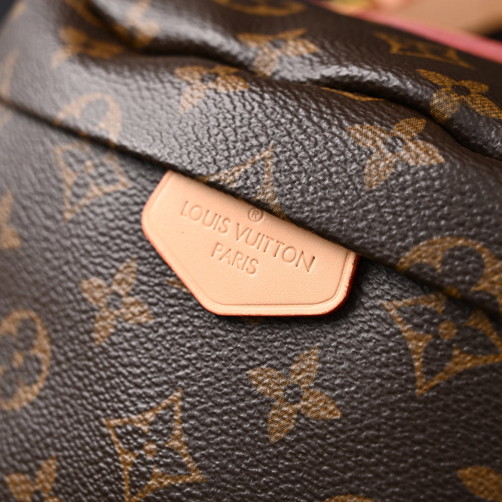 Louis Vuitton Bumbag ¨C Monogram Canvas Waist & Crossbody Bag