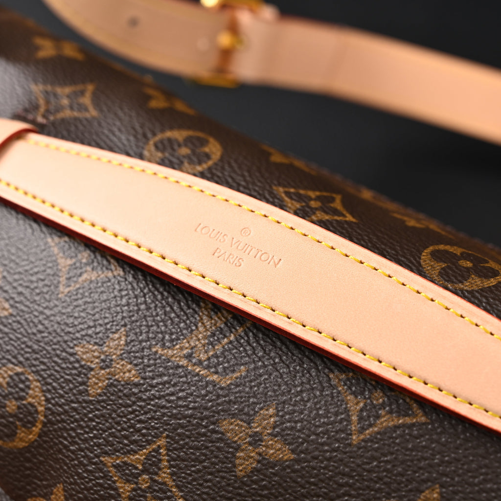 Louis Vuitton Bumbag ¨C Monogram Canvas Waist & Crossbody Bag