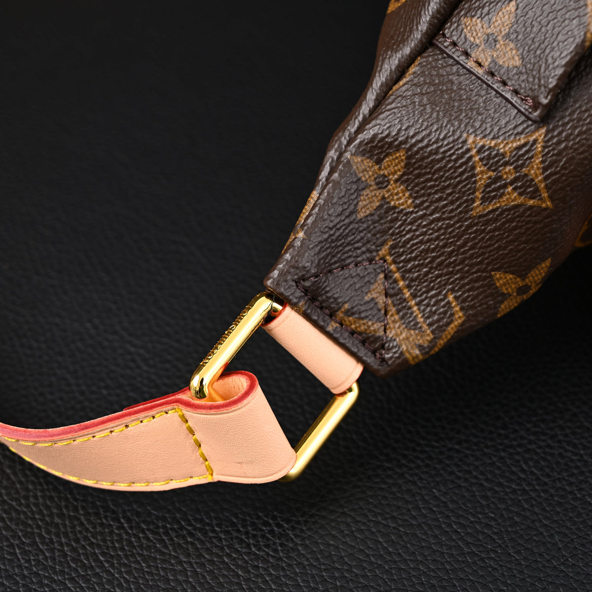Louis Vuitton Bumbag ¨C Monogram Canvas Waist & Crossbody Bag