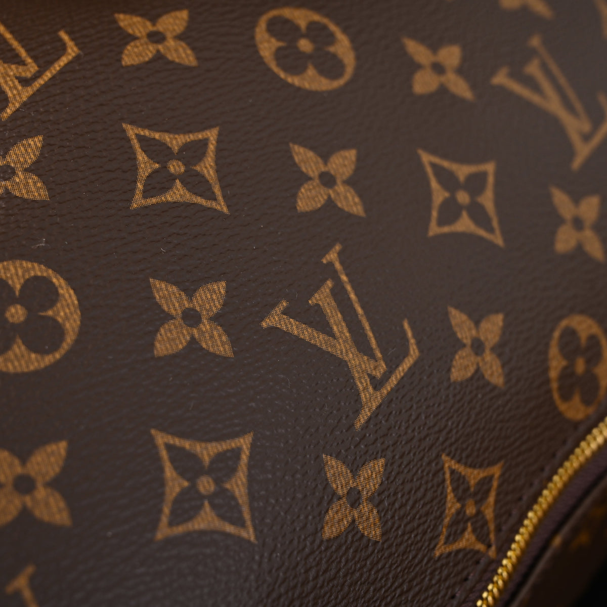 Louis Vuitton Bumbag ¨C Monogram Canvas Waist & Crossbody Bag