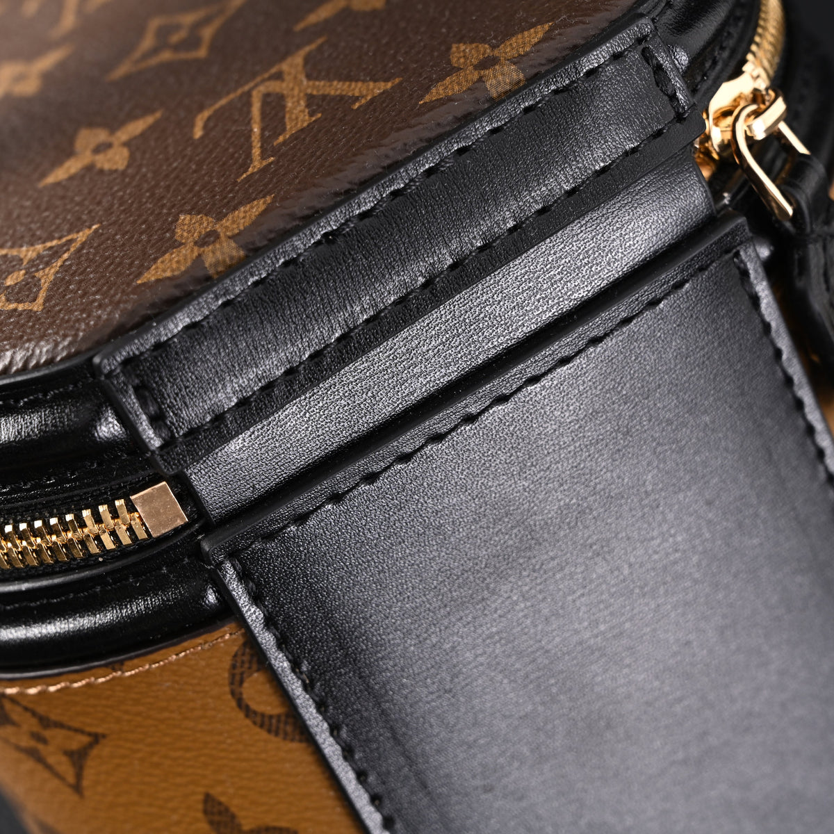 Louis Vuitton Cannes Bag ¨C Monogram Canvas Vanity Case with Top Handle (Small)