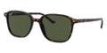 Ray-Ban Leonard RB 2193 902/31