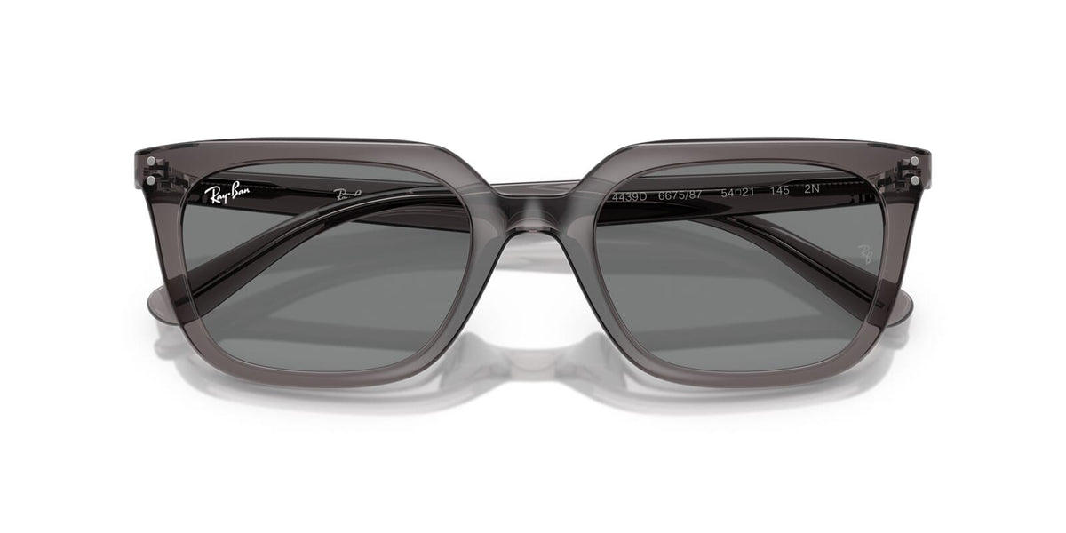 Ray-Ban RB 4439D 6675/87