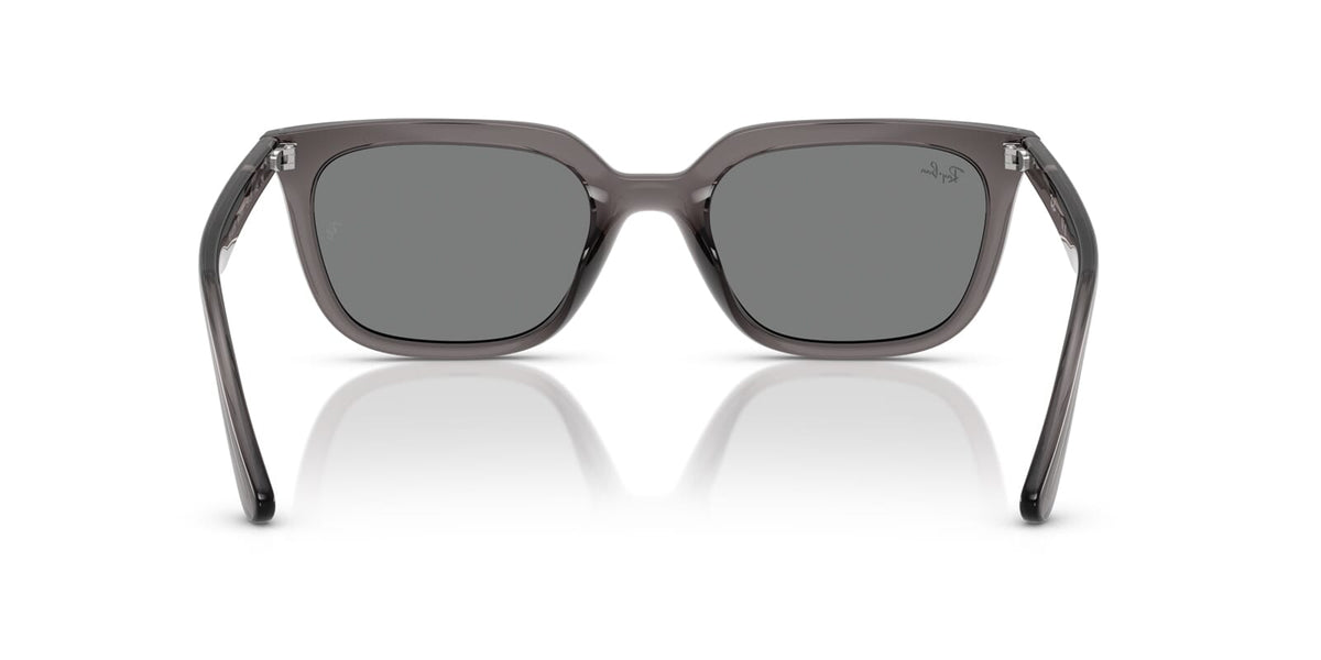 Ray-Ban RB 4439D 6675/87