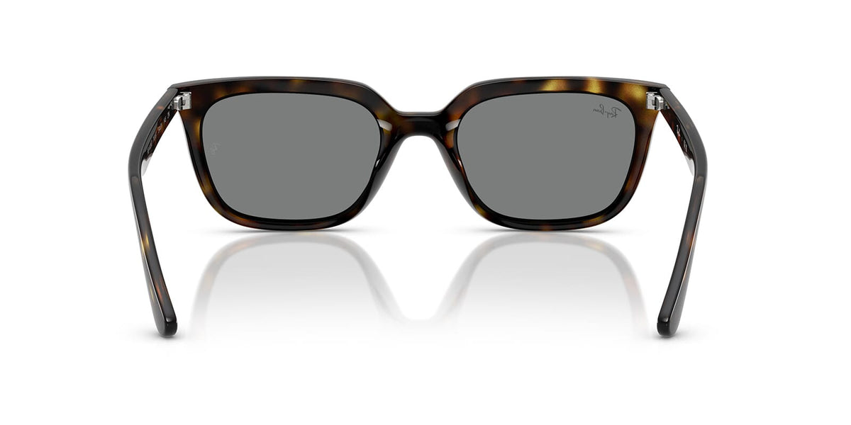 Ray-Ban RB 4439D 710/87