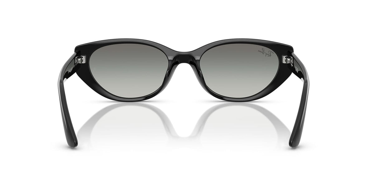 Ray-Ban RB 4457D 6677/11