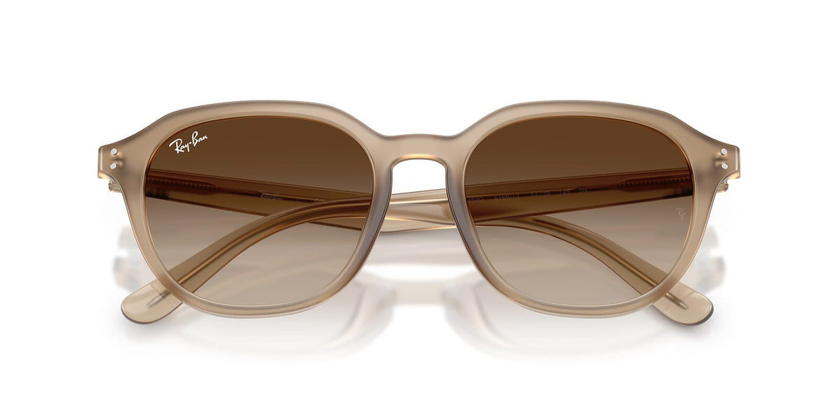 Ray-Ban RB 4459D 6166/13